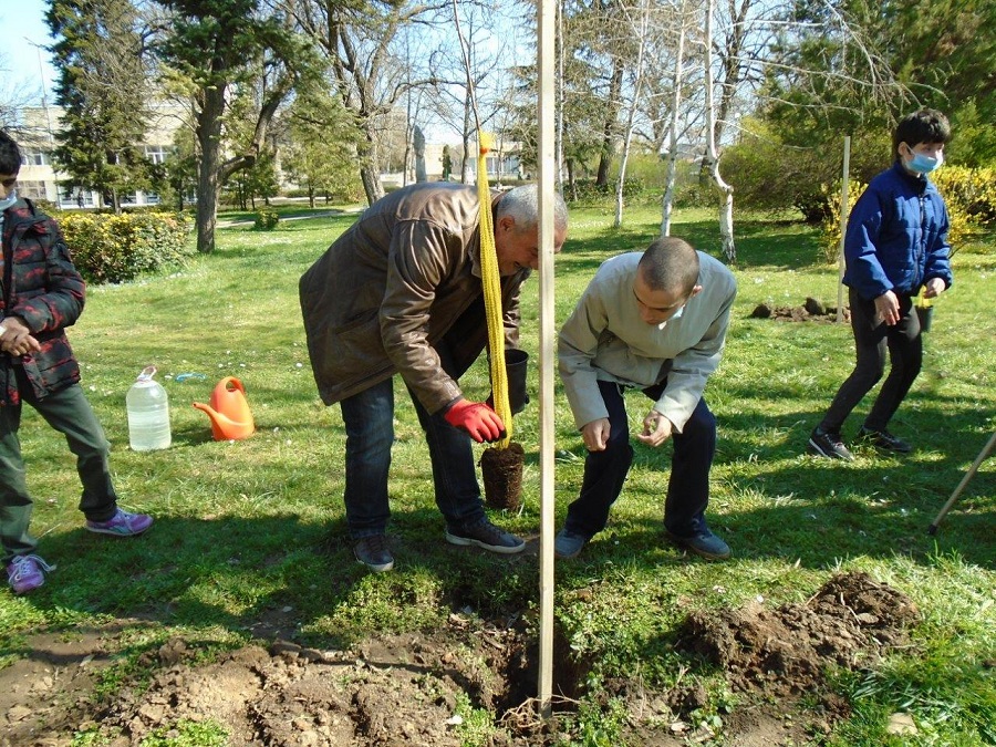 СОНИК СТАРТ засади над 200 дръвчета в Седмицата на гората