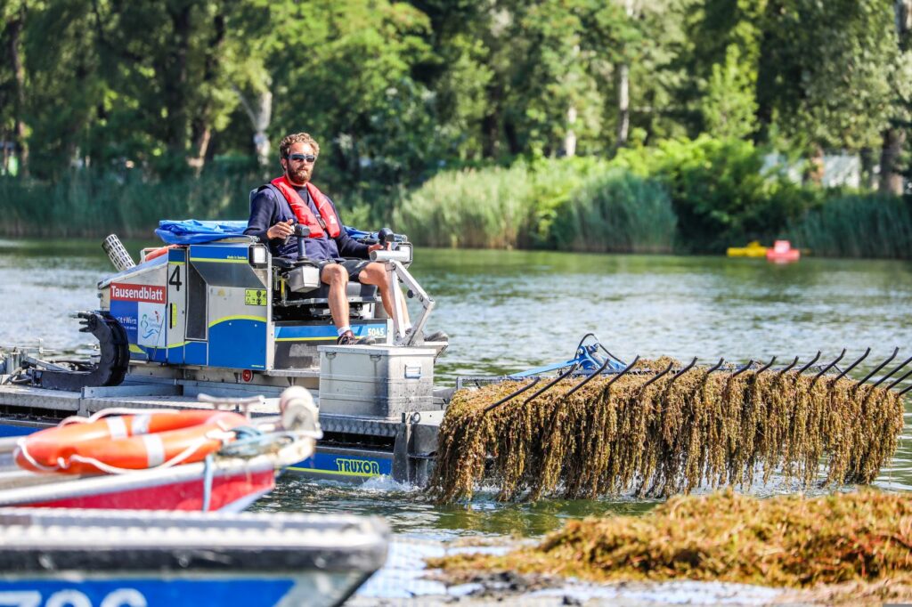 Виена превръща водните растения от Дунава в биокомпост © PID/Christian Fuehrtner