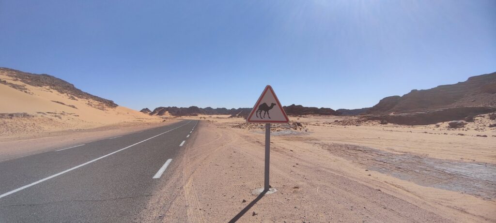 Пътят в пустинята